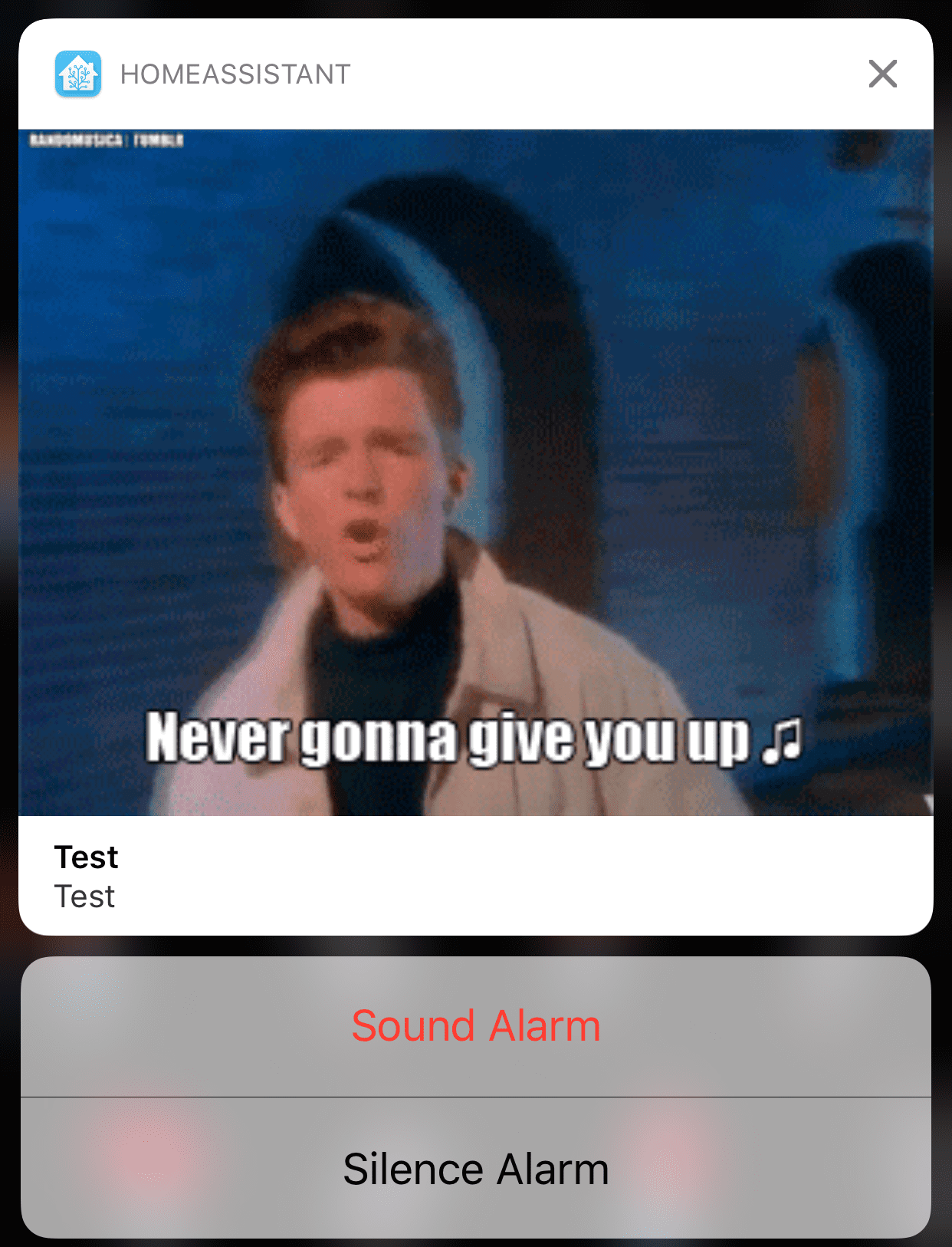 The same notification but expanded to show the full size attachment